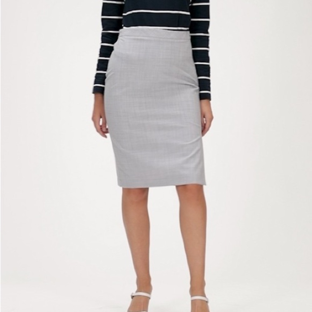NWT Pencil Skirt